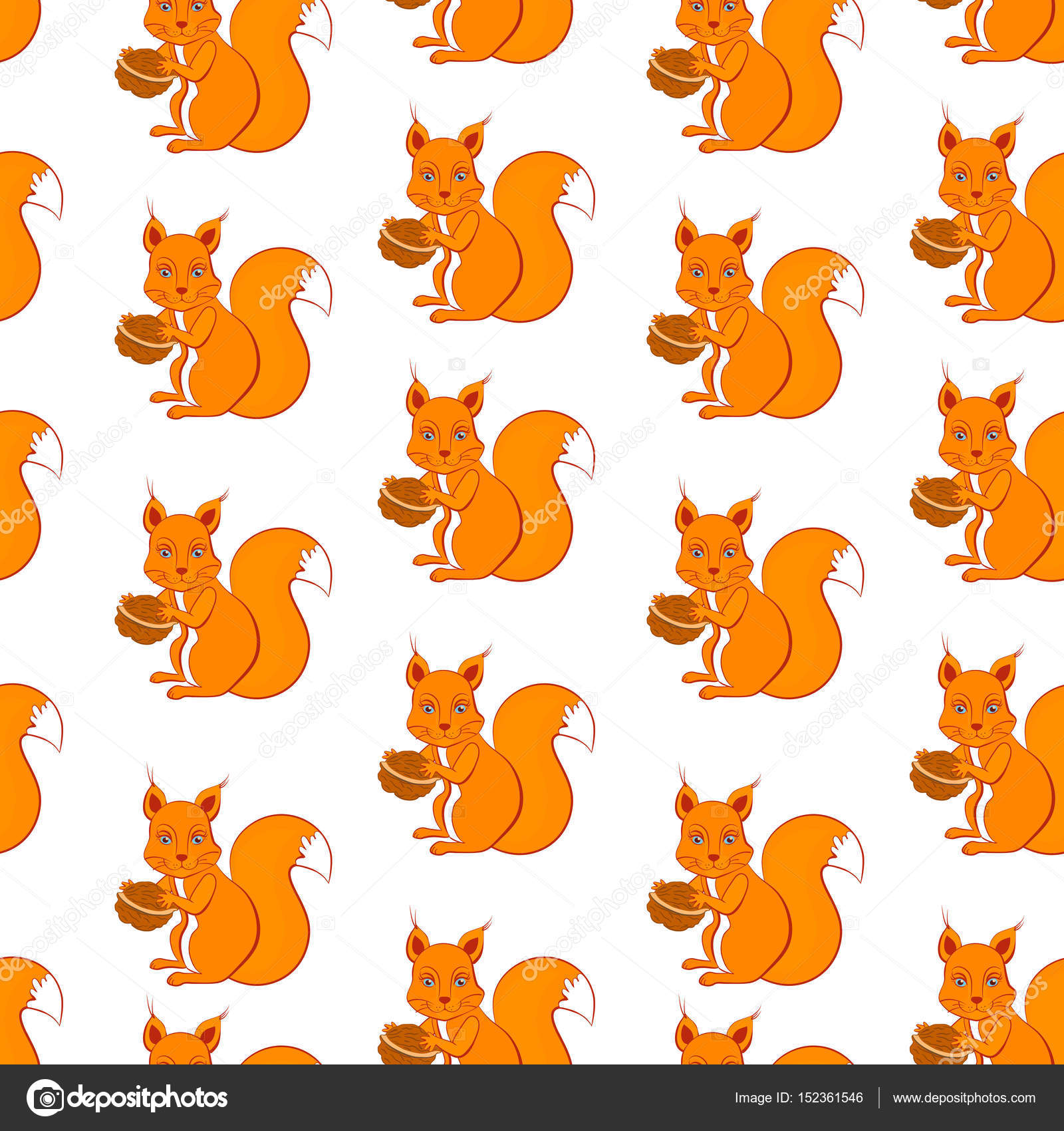 squirrel wrapping paper