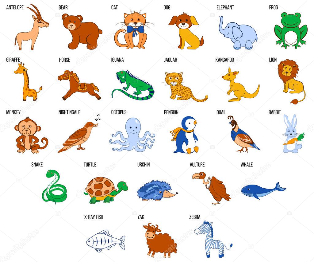 Leuke dierentuin alfabet met tekenfilm dieren van A tot Z