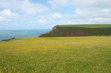 Morwenstow, Cornwall, kıyı şeridi