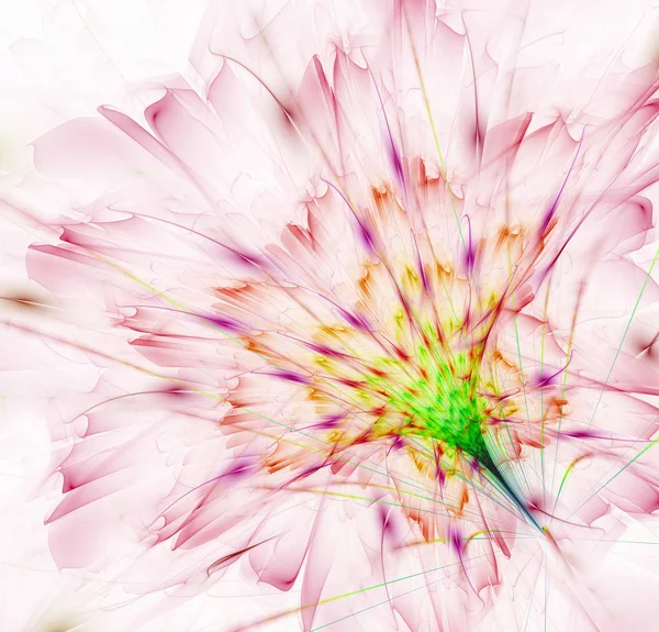 Gentle and soft fractal flower computer generated image