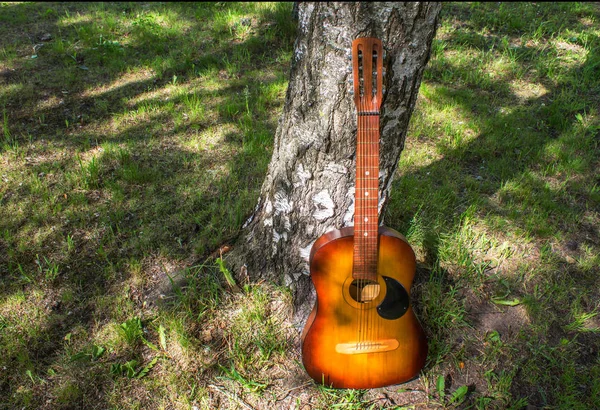 Houten gitaar in de buurt van de boom — Stockfoto