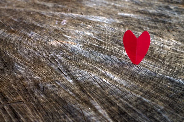 Corazón rojo en anillos de árboles bachground madera vieja — Foto de Stock