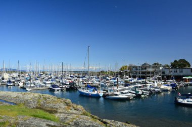 Victoria Bc, Kanada, 22 Nisan güzel meşe Bay Marina Victoria M.ö. yılında her zaman dolu tekneler ve diğer muhtelif 2018.The craft.Come Victoria için zevk ve meşe Bay keyfini çıkarın.
