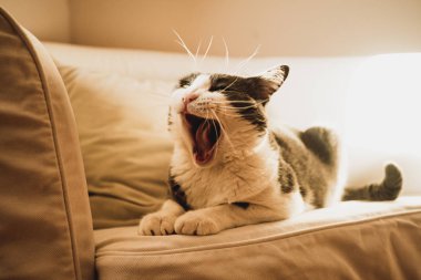 İnsansız hava aracıyla denize doğru inanılmaz bir fotoğraf.