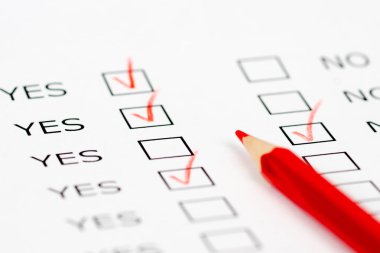 iş kontrol soru formu