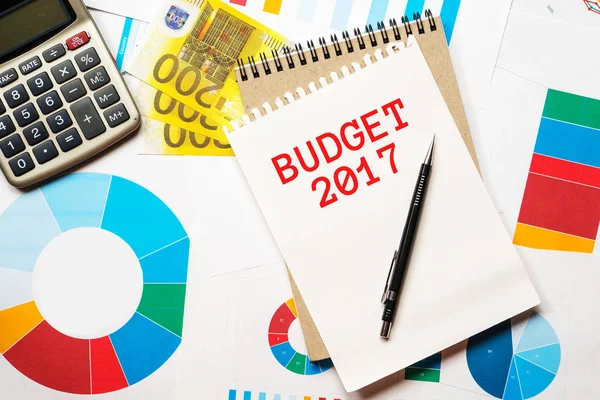 Budget 2017, grafici colorati, soldi — Foto Stock