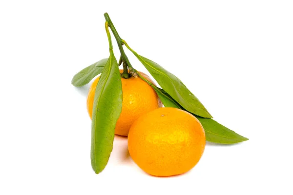 Mandarin with leaves — Stock Photo, Image