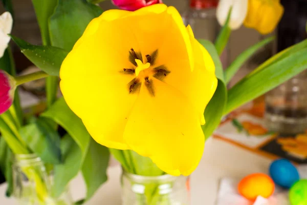 Tulipa amarela no buquê close-up fundo — Fotografia de Stock