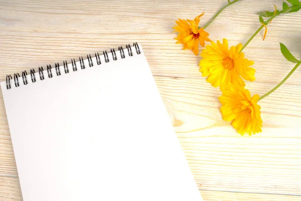 Beyaz masaya defter ve sarı çiçek