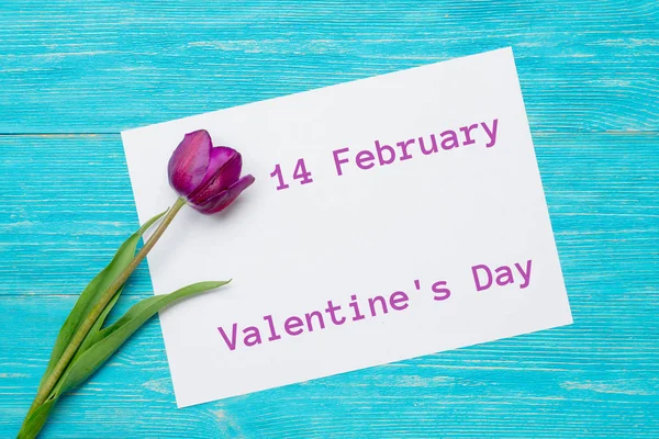 14 февраля День Святого Валентина с тюльпаном — стоковое фото