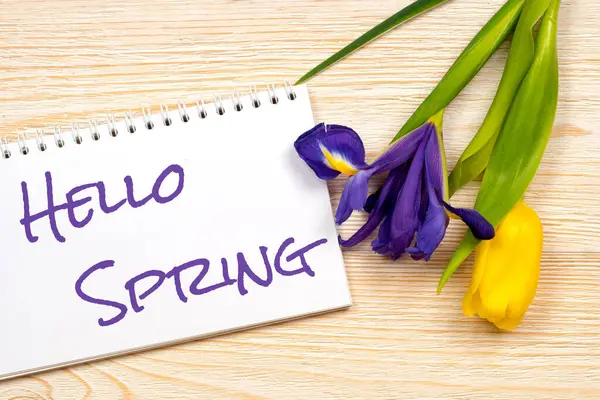 Olá Mensagem Primavera Sobre Cartão Postal Com Tulipa Íris — Fotografia de Stock