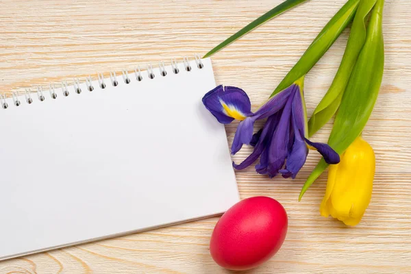 Papel Claro Para Mensagem Íris Tulipa Ovo Páscoa — Fotografia de Stock