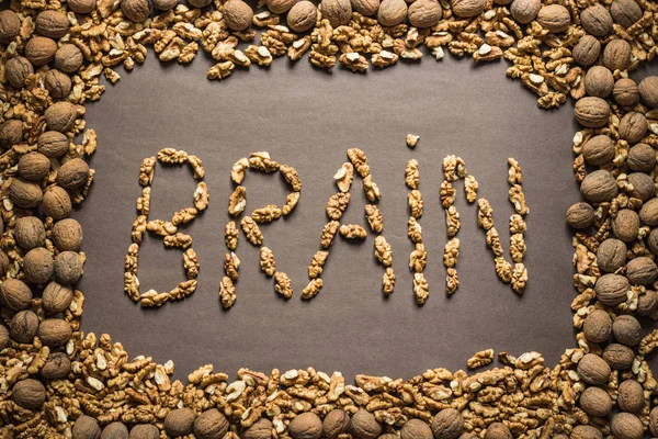 A palavra "cérebro" é escrito a partir das nozes em um backgrou marrom — Fotografia de Stock