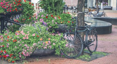 Retro tarzı bisiklet ile frowers Street, Hollanda