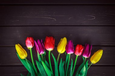 Ahşap zemin üzerine farklı renk laleler