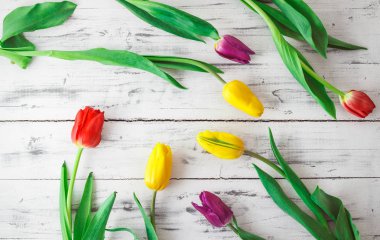 Ahşap zemin üzerine farklı renk laleler