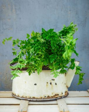 Demet maydanoz eski vintage çaydanlık