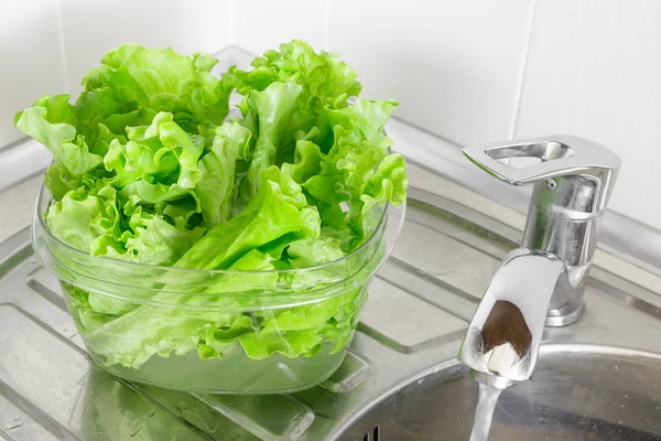 Fresh lettuce leaves soaked in transparent plastic bowl — Stock Photo, Image