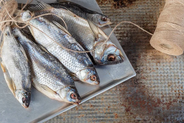 Taranka, Poisson de rivière salée séché au soleil, Collation classique à la bière — Photo