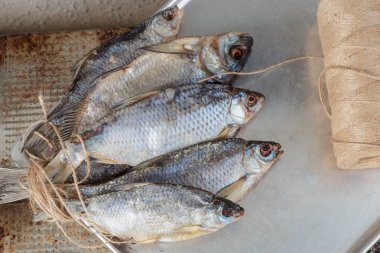 Taranka, kurutulmuş tuzlu nehir balığı, klasik bira Snack