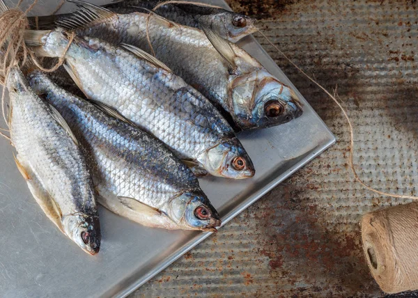 Taranka, Sun Dried Salty River Fish, Lanche clássico de cerveja — Fotografia de Stock