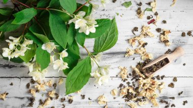 Yasemin çiçekleri ile dağınık yeşil çay yaprakları