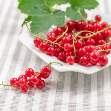 Redcurrants çizgili Tekstil arka plan üzerinde plaka üzerinde