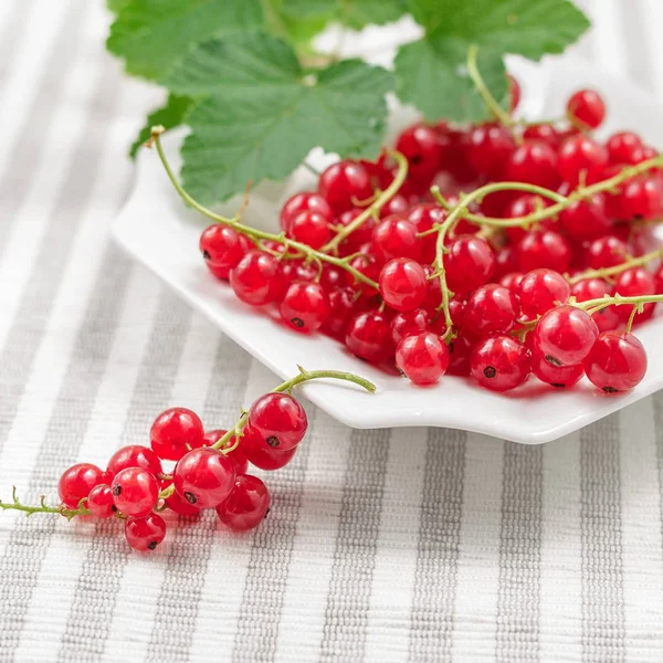 Redcurrants çizgili Tekstil arka plan üzerinde plaka üzerinde