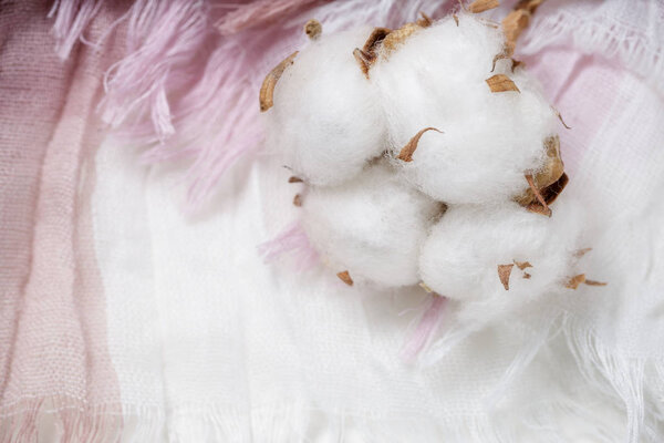 Cotton plant flower branch on purple cloth