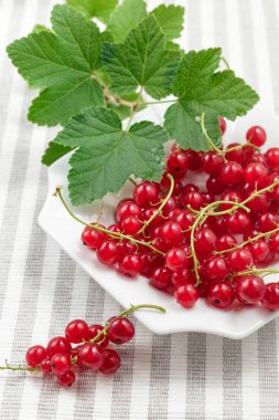 Redcurrants çizgili Tekstil arka plan üzerinde plaka üzerinde