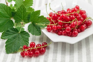Redcurrants çizgili Tekstil arka plan üzerinde plaka üzerinde