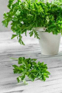 Demet maydanoz Beyaz ahşap zemin üzerinde