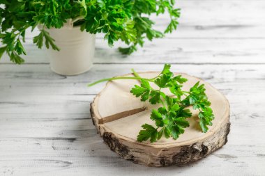 Demet maydanoz Beyaz ahşap zemin üzerinde