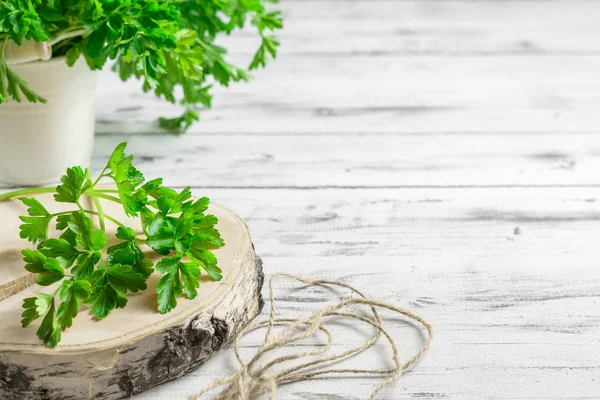 Demet maydanoz Beyaz ahşap zemin üzerinde