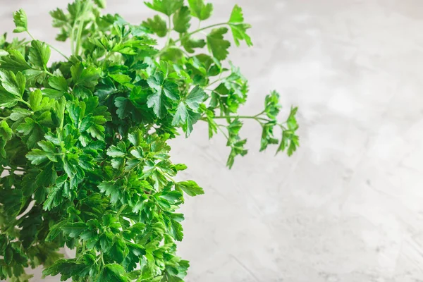 Demet maydanoz gri beton zemin üzerine