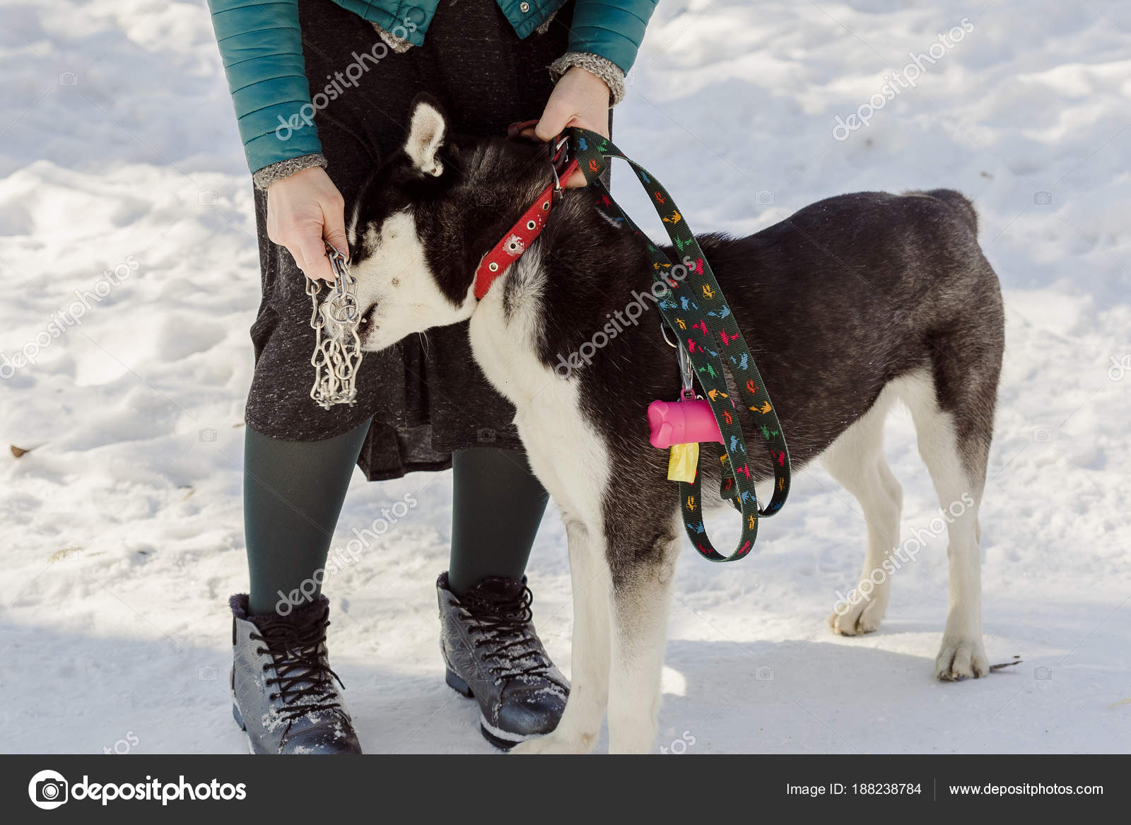 Share your women wearing dog collar and leash happens Your women wearing dog collar and leash question will