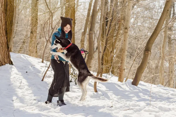 Mujer jugando con su perro husky en la nieve — Foto de Stock