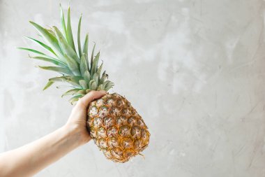 Bir ananas gri arka plan üzerinde tutan el