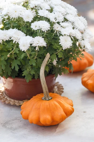 Fall season table decoration on the table — Stock Photo, Image