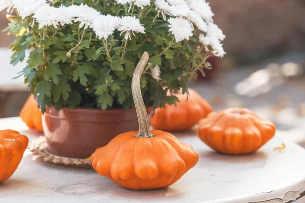 Fall season table decoration on the table — Stock Photo, Image