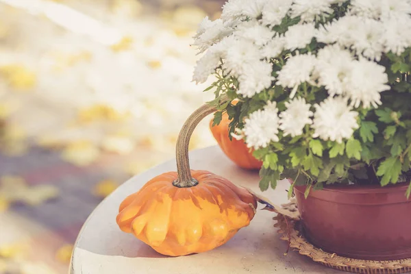 Fall season table decoration on the table — Stock Photo, Image