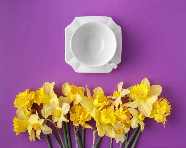 Spring Bord Sæt Med Ren Elegant Porcelæn Eller Kaffekop Narcissus - Stock-foto