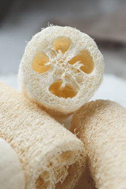 Sıfır atık yıkama ve banyo için Luffa süngeri