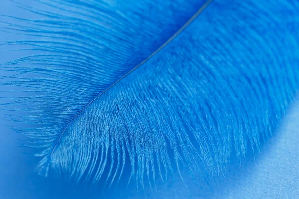 Крупним планом синій пір'я текстури фону — стокове фото