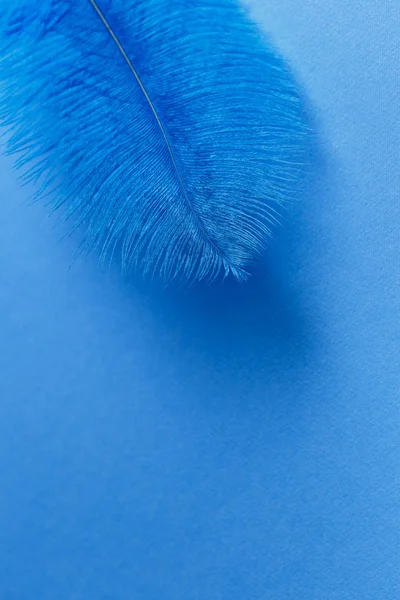蓝色羽毛纹理背景的特写 — 图库照片