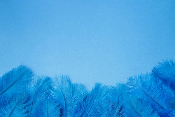 Група пухнасто-блакитних пір'я прикордонний фон — стокове фото