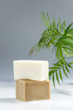 Arka planda palmiye yaprakları olan iki doğal bulaşık deterjanı. Dikey bileşim, metin için boşluk