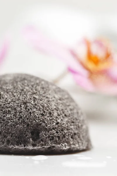 Konjac Sponge close up with Pink Orchid Flowers. Korean Face Cleansing and Make Up Removing Beauty Routine