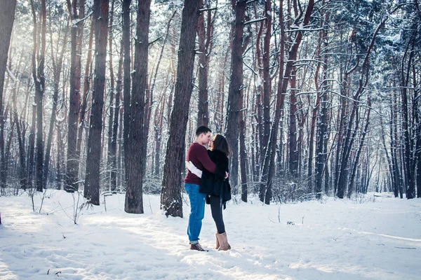 Casal amoroso andando na floresta de inverno — Fotografia de Stock
