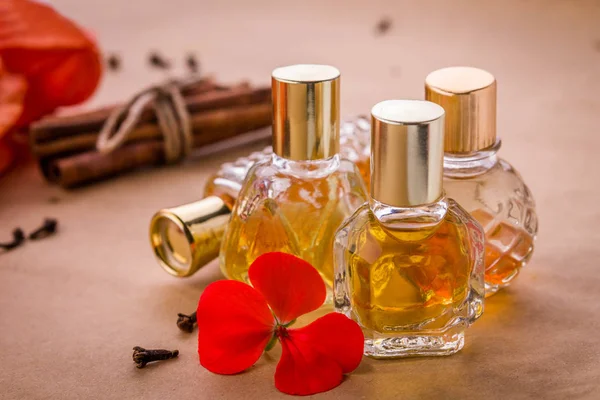 Frascos de perfume con ingredientes — Foto de Stock